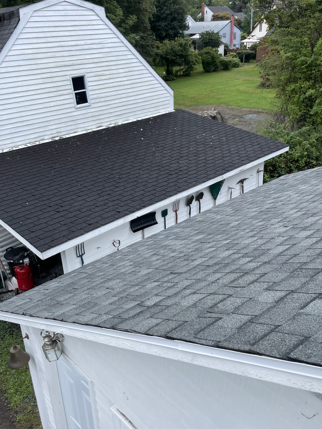 FFS #1. The&nbsp;Shingles.