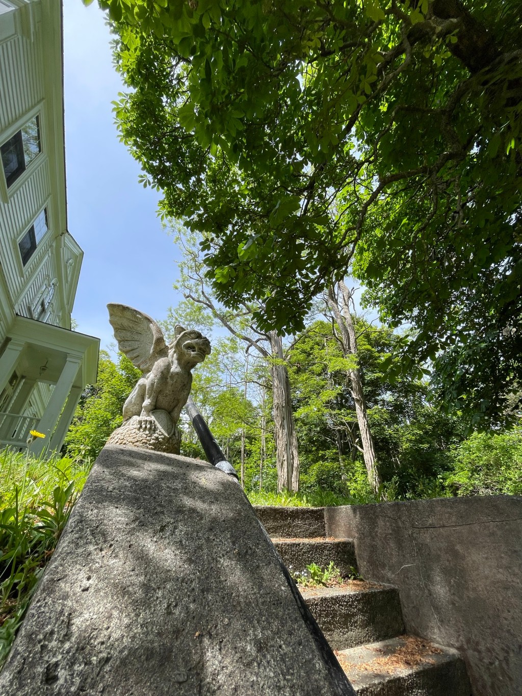 The Whore’s Chestnut