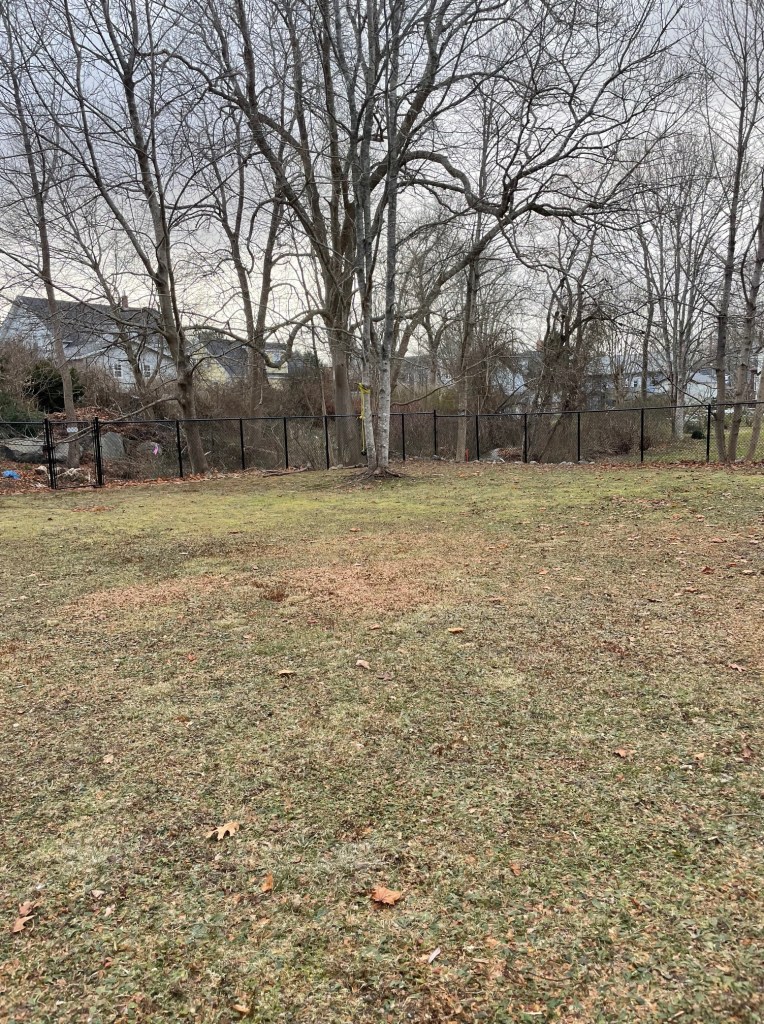 Transforming our yard into a whimsical, enchanted space starts with working alongside nature, not against it. By shaping wild roses into moon gates and turning overgrown pathways into storybook trails, I’m finding beauty in the chaos. This post shares how I’m embracing what’s already here—from cutting back invasive plants to reimagining a chain-link fence—as I craft a landscape that feels magical, intentional, and uniquely ours.