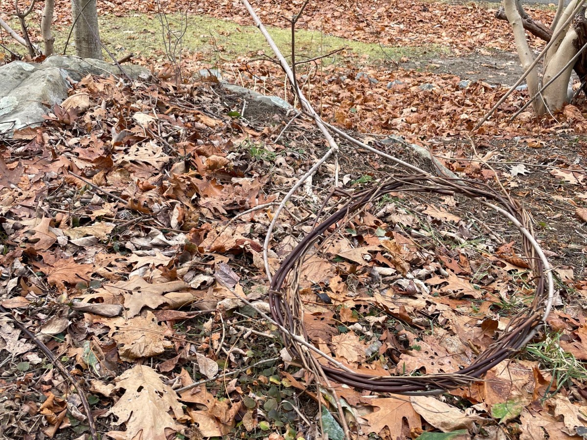 Whimsical Landscapes: Growing Beauty by Working with What’s&nbsp;Here